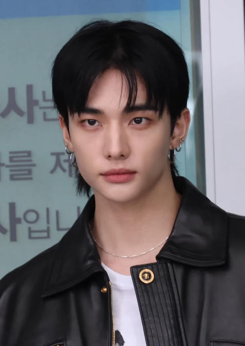 Hyunjin Wiki/Bio